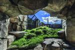 Photo of the finished Walter Artic Tundra Exhibit at Lincoln Park Zoo