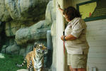 keeper-and-tiger-at-zoo
