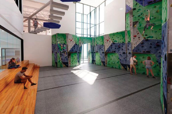 Rock Climbing Gym